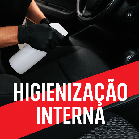 Higienização interna